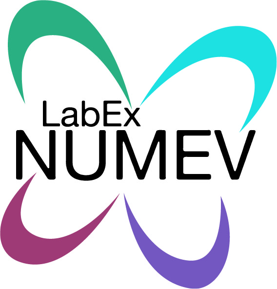 Logo Numev