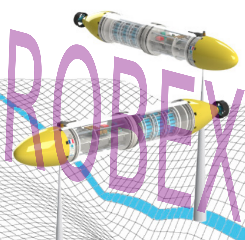 Logo ROBEX