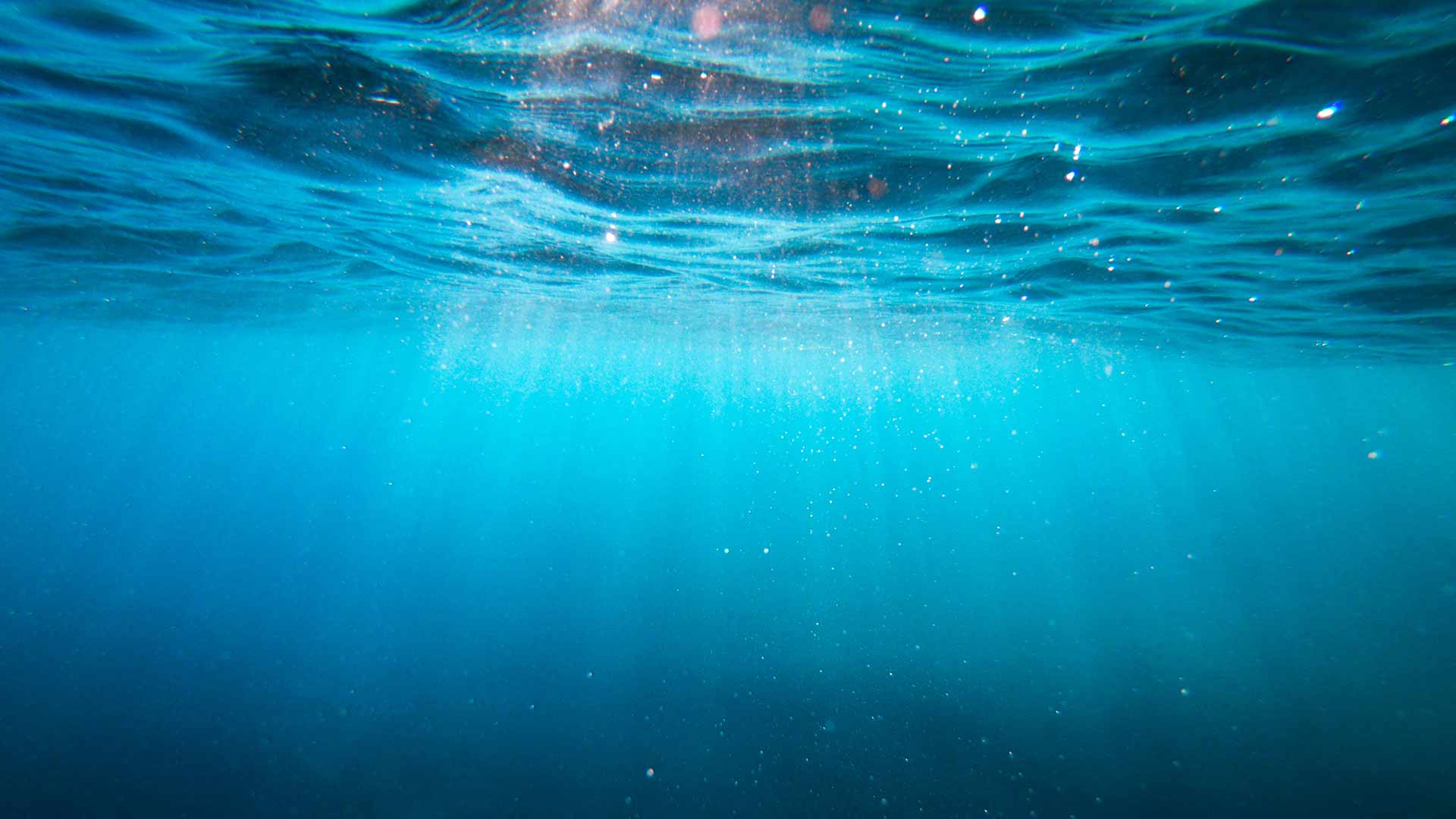 La Mer XXL : le son pour voir la mer