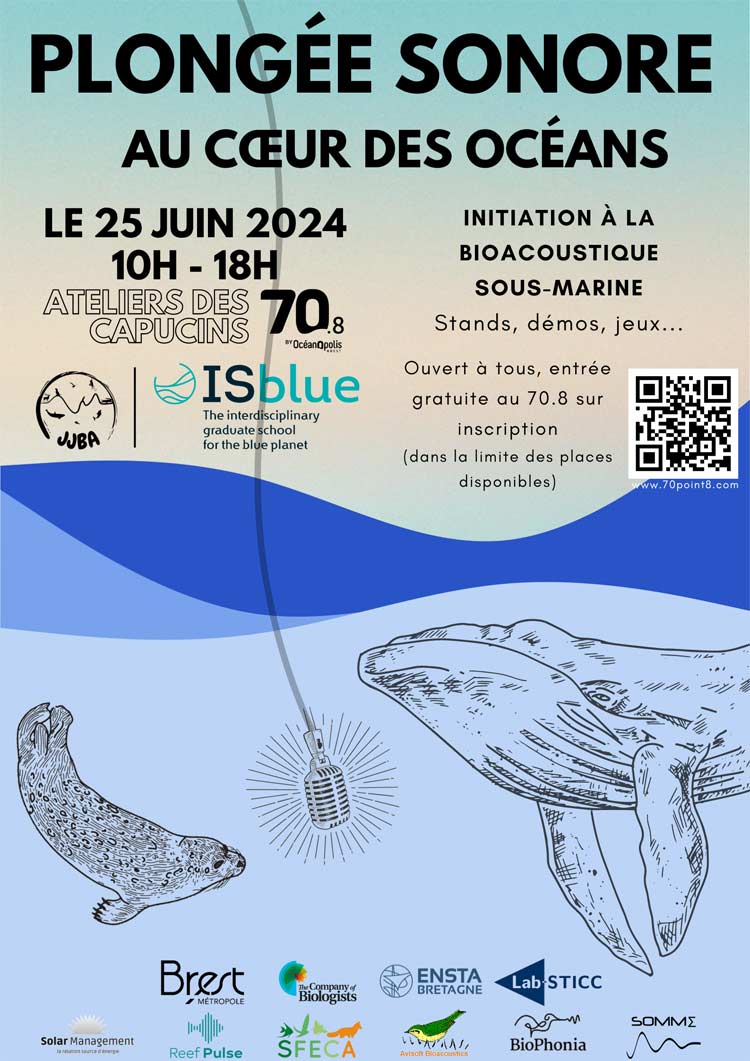 Journée d'initiation à la bio-acoustique sous-marine